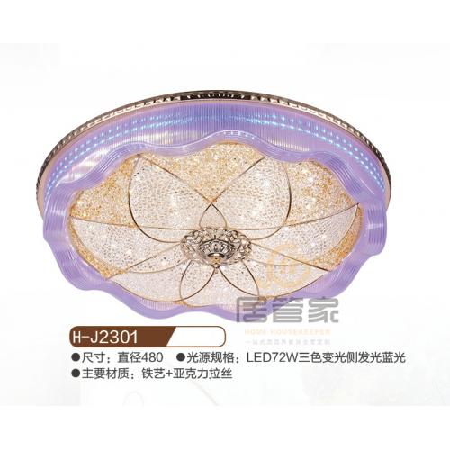 纯亚克力灯H-J2301