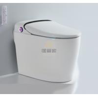 全自动智能马桶IZMOJ-YW22