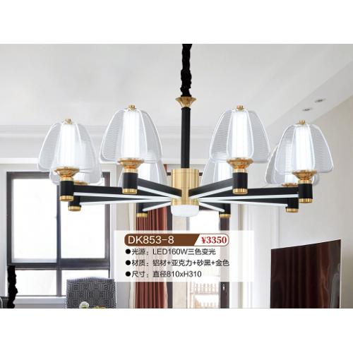 DK853-8北欧风吊灯