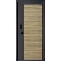 WH-10-0025甲级防盗门