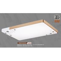 RX8133大长吸顶灯