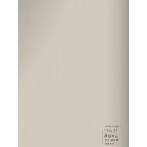 肤感米灰-碳晶板