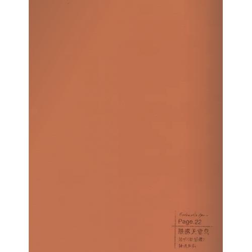 肤感天堂鸟-碳晶板