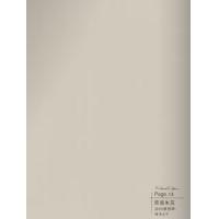 肤感米灰-碳晶板