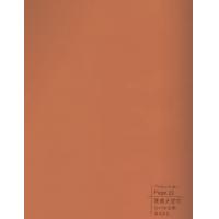 肤感天堂鸟-碳晶板