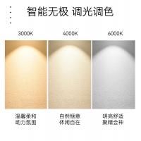 智能筒灯（易微联版）深防眩