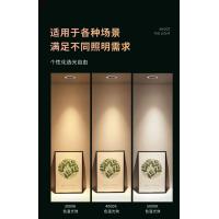 智能射灯（易微联版）