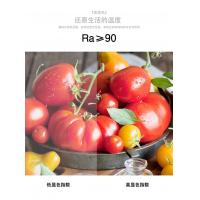 智能深防眩射灯（易微联版）